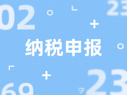 纳税申报